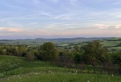 Teren de 11000 mp, în Brădeni - 8