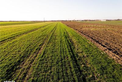 Spațiu comercial, în Tămășeu - 2