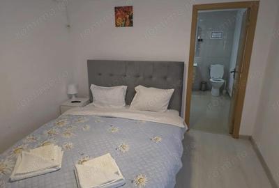 Pensiune la Cheia, moderna, functionala in totalitate, vedere mirifica (chirie) - 6