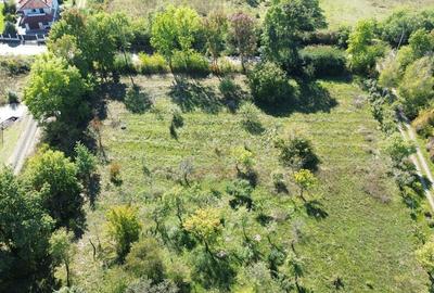 De vanzare Teren Intravilan Viile Satu Mare 2812MP/Dublu ... - 7