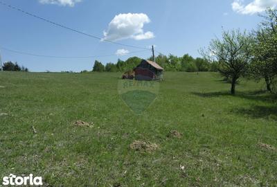 Teren de 7500 mp, în Copalnic - 5