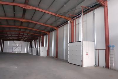 Zona Drumul Intre Tarlale - hale 1125mp, 650mp si 450mp - 2