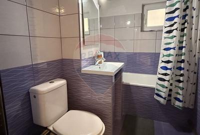 Apartament 3 camere Craiovita Noua - 14