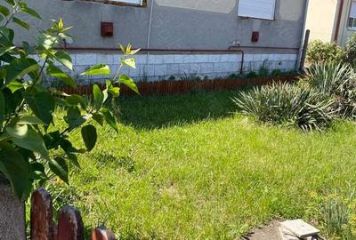 Case Mare de Vanzare cu 3 Camere - 3