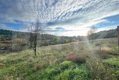 Teren de 1466 mp, în Bejan - 3