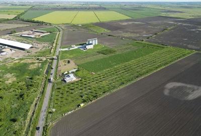 Livada de nuci ?i pruni 2.4ha in Varia?ul Mare - 12