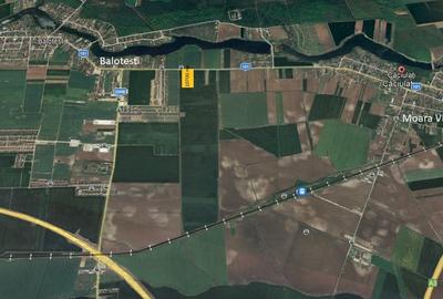 Teren Construcții intravilan de 10700 mp, în Căciulați - 3