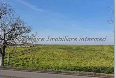Teren de 25000 mp, în Agigea - 4