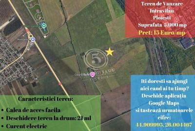 Teren Construcții intravilan de 5000 mp, în Vest - 1