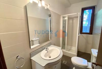 Vila cu piscina Iancu Nicolae - 19