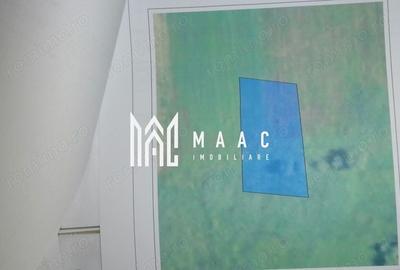 Teren agricol intravilan de 5390 mp, în Racovița - 4