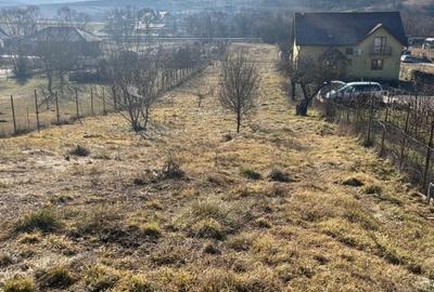 Teren intravilan pentru casa 2400 mp front 16ml Radaia sub pretul pietei