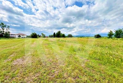 Casa 4 cam.+ teren de vanzare in Cartierul Turnisor, Zona Exclusivista - 11