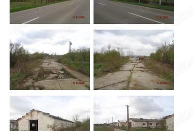 Inchiriez hale 7000 mp si teren intravilan 70000 mp - 6