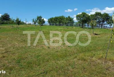 Spațiu comercial, în Loman - 4