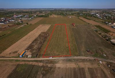 Adunatii Copaceni - Troitei | teren 6 525 mp | zona in dezvoltare - 2