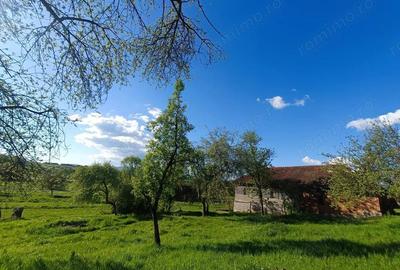 Casă cu Canalizare în Măgulicea - 20