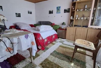 Casa 6 camere, Garaj , Teren 5000 MP - 16