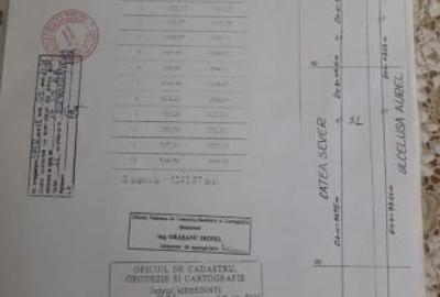 Teren extravilan de 5000 mp la soseaua principala Cocorova - 4