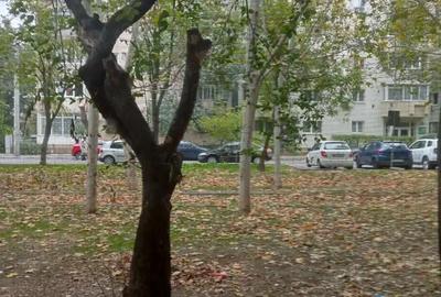 Garsonieră semidecomandată în Doamna Ghica - 7