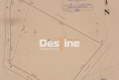 Teren de 3300 mp, în Proselnici