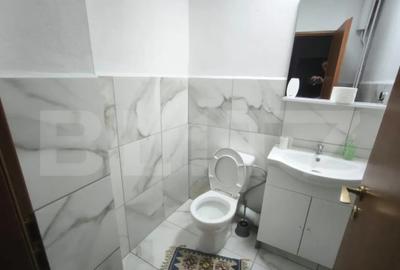 Apartament cu 4 camere decomandat în Brazda lui Novac - 10