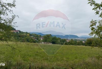 Spațiu comercial, în Poiana Angelescu - 8