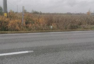 Teren de 3700 mp, în Săcueni - 1