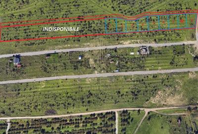 Teren Construcții de 680 mp, în Iris - 6