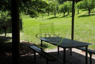 Teren extravilan  de vanzare | 4288 mp | in Gusterita - 3