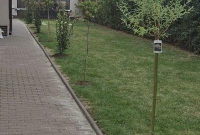 Casă cu 6 camere cu Teren 2106 Mp în Piatra - 3