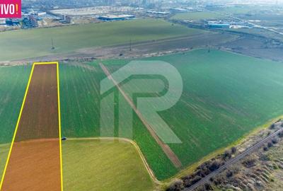 METRO - VARIANTA OVIDIU, TEREN INVESTITIE 15.000 MP! METRO - VARIANTA OVIDIU, TEREN INVESTITIE 15.000 MP! - 7