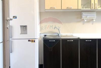 Apartament cu 2 camere de inchiriat in Sunrise Residence S6 - 7