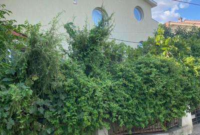 Casă cu 4 camere în Braytim - 6