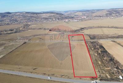 Teren extravilan 10000 mp langa Medias - oportunitate de ... - 1