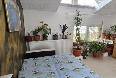 Apartament 3 camere, 80mp, toate utilitatile, zona McDonalds Alexandriei Apartament 3 camere, 80mp, toate utilitatile, zona McDonalds Alexandriei - 20