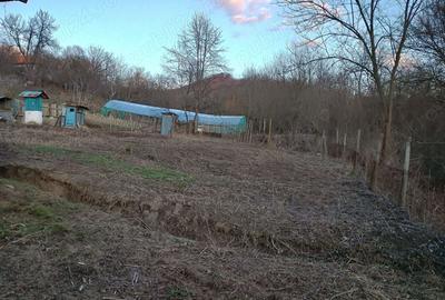 Casa batraneasca cu teren de vanzare - 4