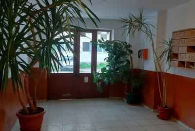 Vanzare 2 cam Prundu Camin Socomar Sup 41 mp, toate utilitatile Pret 39 500 Euro - 8