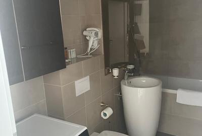 Apartament cu 2 camere decomandat în Viilor - 9