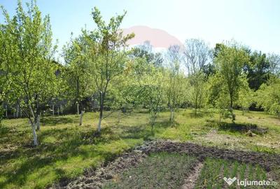 Casă cu 5 camere cu Teren 1842 Mp în Picior de Munte - 1