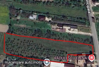 Teren în Pruni - 1