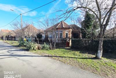 Casă cu 3 camere cu Teren 742 Mp în 6 Vânători - 4