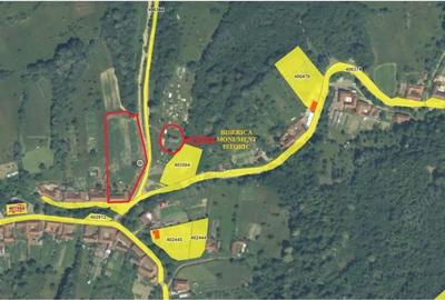 Casă cu Teren 2877 Mp în Zolt - 3