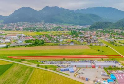 COMISION 0% | Teren de investi?ie 5.500 mp, Sacele Str. Toamnei - 2