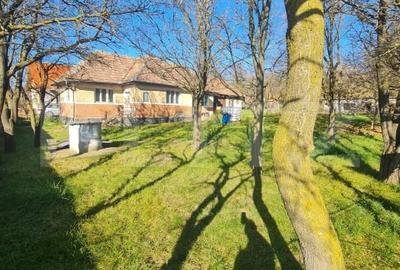 Casa renovabila, 56,7 mp utili, 2500 mp de teren, loc. Rediu, Com. Aiton - 3