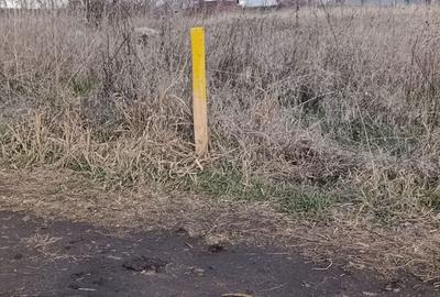 Teren de 1700 mp, în Nanov - 9