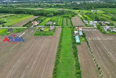 AZURA Imobiliare - Teren Mosoaia - 3