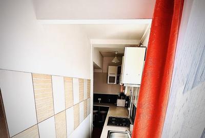 Apartament cu 2 camere semidecomandat în Ozana - 11