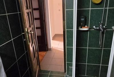 Apartament 3 camere, 84 mp, zona Ultracentrala - 11