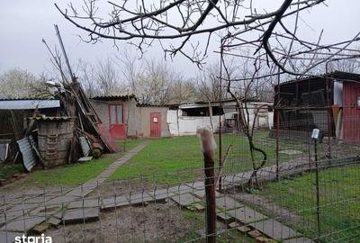 Casă cu 4 camere cu Teren 1500 Mp în Tichilești - 6